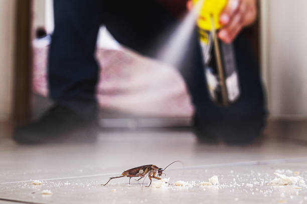 Best Wasp Removal Services  in Lawrenceburg, IN