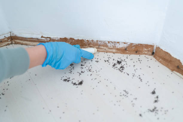 Best Pest Removal Services  in Lawrenceburg, IN
